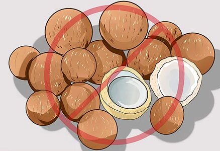 орехи для собак